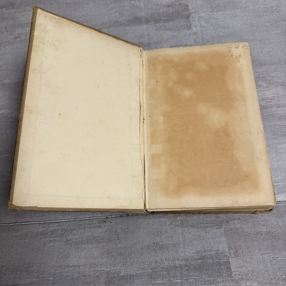 Lippincott's Farm Manuals Productive Swine Husbandry G. E.‎ Day 1913 Pigs Book - Picture 15 of 16